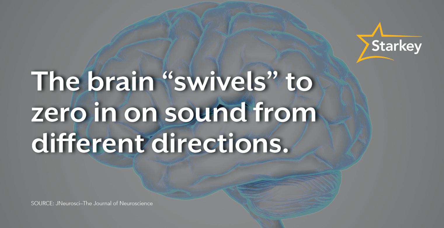 Image of the brain and text explaining that the brain swivels to zero in on sound from different directions